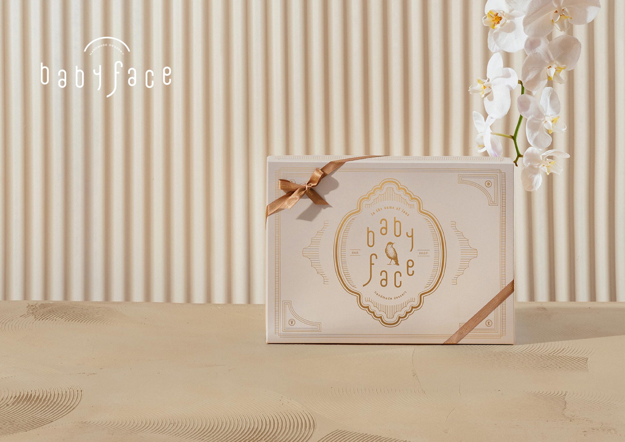 優惠專區-廠商專區-baby face